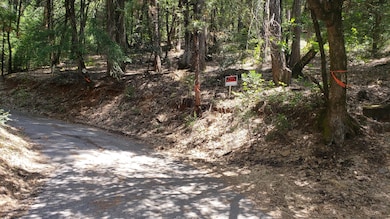 00 Upper River Ave, Dunsmuir, CA 96025 - photo 3