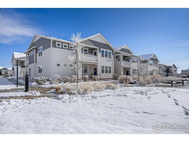 2110 Setting Sun Dr unit 3, Windsor, CO 80550 - photo 3