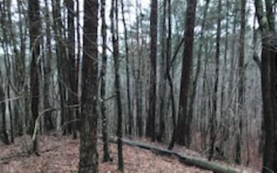 Additional View