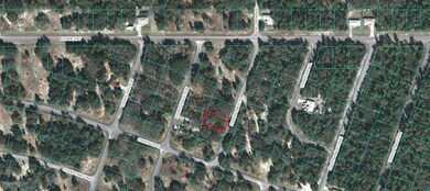 0 Fisher Trace Place unit OM568430, Ocklawaha, FL 32179 - photo 3