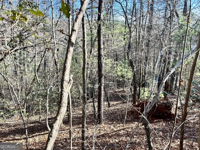 0 Bahn Innsbruck unit 10656187, Helen, GA 30545 - photo 5