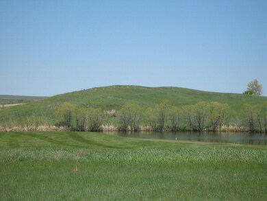Pond and Green Views