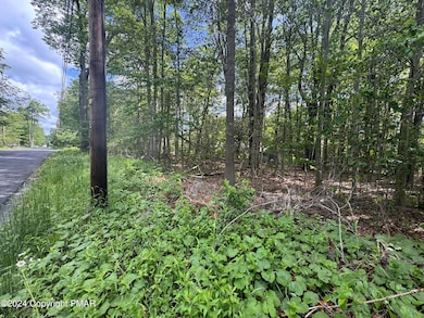 2159 Birchwood Blvd, Pocono Summit, PA 18346 - photo 7