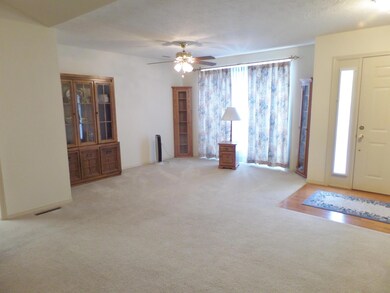 125 Brandy Ln, Kimberling City, MO 65686 - photo 3