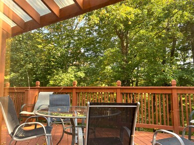 21 Splatter Foot Close unit M436, Wilmington, VT 05363 - photo 7