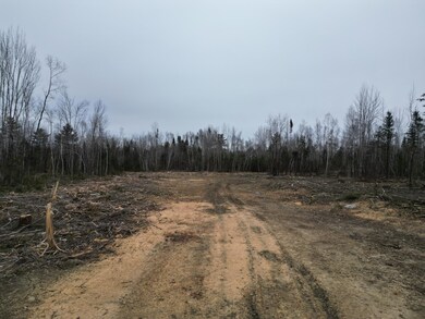 Lot 52.3 Lagrange Rd, Howland, ME 04463 - photo 4