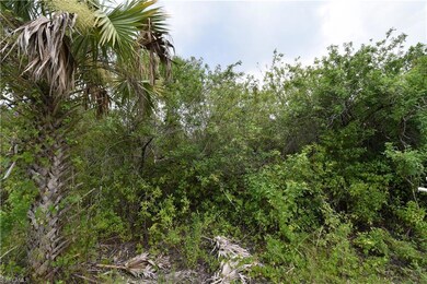 0 36th Ave SE unit 225081357, Naples, FL 34117 - photo 3