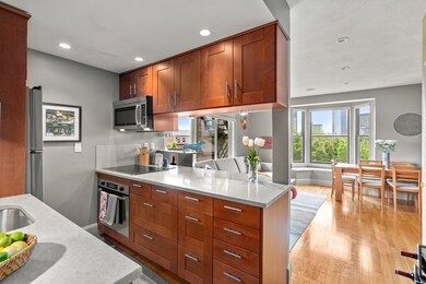 411 Shawmut Ave unit 7, Boston, MA 02118 - photo 6