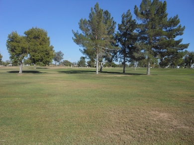 18403 N Conestoga Dr, Sun City, AZ 85373 - photo 5