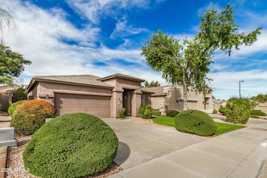 30128 N Yellow Bee Dr, San Tan Valley, AZ 85143 - photo 4