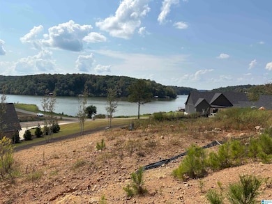 0 Lake Point Dr unit 306 21431290, Lincoln, AL 35096 - photo 3