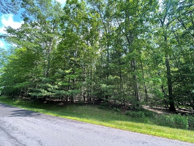 0 Saddle Brook Ln, Daniels, WV 25832 - photo 6