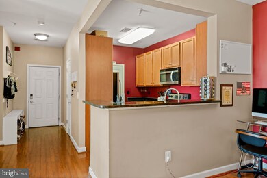 6163 Willow Place unit 302, Bealeton, VA 22712 - photo 5