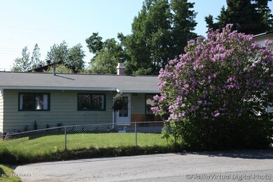 Huge Lilac Tree In Front