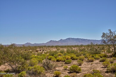 From NW Corner Across Property