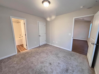 304 Jubilee Clock Dr, Columbia, SC 29223 - photo 5