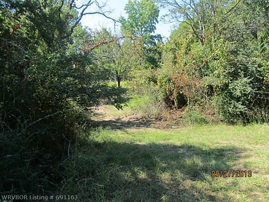 View. Left fork goes to the house.