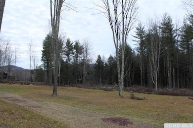 0 Homestead Ln unit 155406, Windham, NY 12496 - photo 5