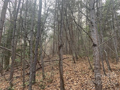 0 Cherokee Mine Rd, Franklin, NC 28734 - photo 7