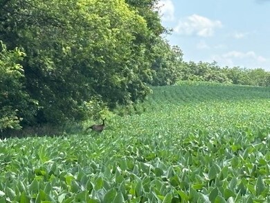 W1495 King Rd, Brooklyn, WI 53521 - photo 3