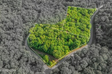 Outlined Aerial View (Approx.)