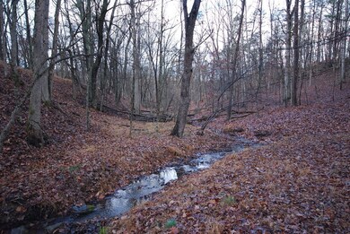 Lot 29 & 30 Staubwoods Dr, Romney, WV 26757 - photo 5
