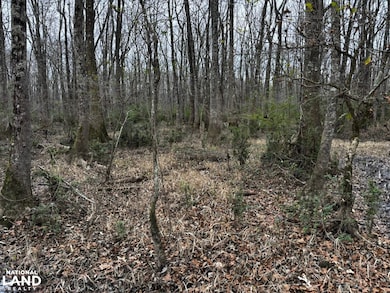 8735 Fernbank Rd, Millport, AL 35576 - photo 4