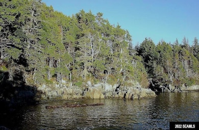 NHN: C-2RC Long Island, Sitka, AK 99835 - photo 7