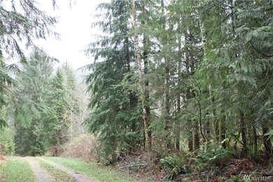 27418 E Lake Riley Rd, Arlington, WA 98223 - photo 4