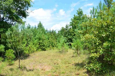 1355 Pete Roberson Rd, Pittsboro, NC 27312 - photo 7