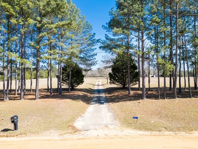 5377 Goose Hollow Rd, Dawson, GA 39842 - photo 4