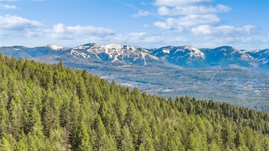 NHN Tract 2 Wolf Tail Pines Rd, Whitefish, MT 59937 - photo 4