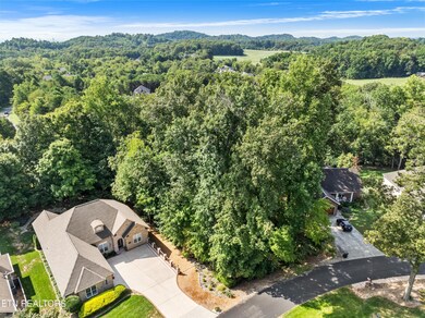 252 Mialaquo Cir, Loudon, TN 37774 - photo 4