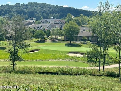 987 Mockingbird Ln, Loudon, TN 37774 - photo 2