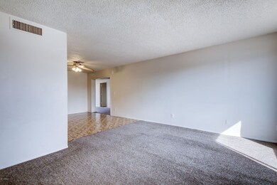 6908 W San Juan Ave-13