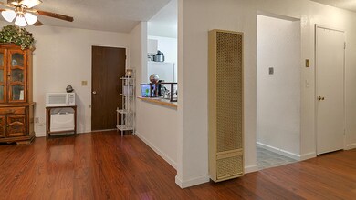 IMG_2701