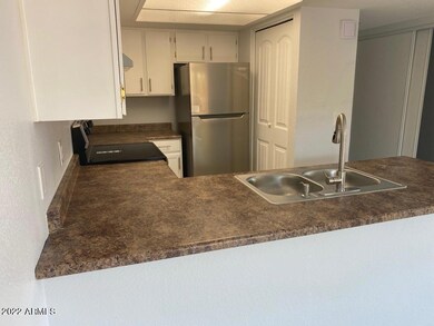 4241 N 69th Dr unit 1302, Phoenix, AZ 85033 - photo 4