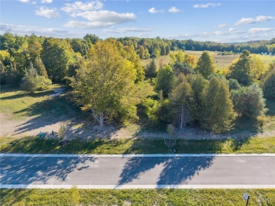 6542 Woodchuck Hill- Lot 1 Rd, Dewitt, NY 13078 - photo 4