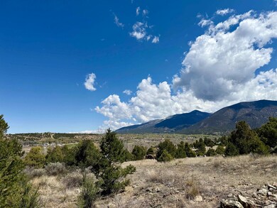 5 Acres Tract 47 Old Red River Rd, Questa, NM 87556 - photo 4