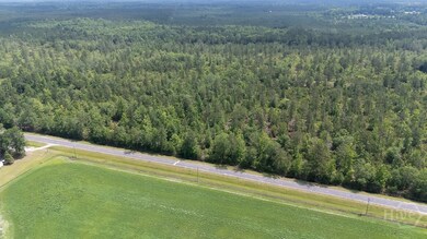 0 Old Louisville Rd unit Lot 4, Guyton, GA 31312 - photo 3