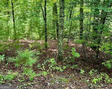 0 Hillbilly Holler unit 10349381, Blue Ridge, GA 30513 - photo 4
