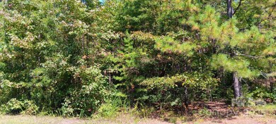 0 First Corriher St unit CAR4301927, China Grove, NC 28023 - photo 4