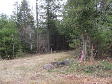 052 Bradbury Ridge Rd Off Averill, Dixfield, ME 04224 - photo 3