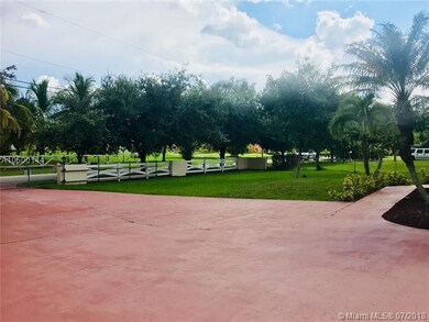 Front yard and drive way.