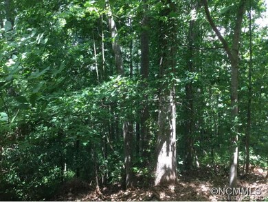 Mature trees to design around