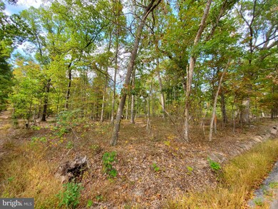 19.39 Acres Apple Harvest Dr, Gerrardstown, WV 25420 - photo 3