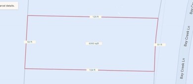 Lot 21A Bay Creek Ln, Gordonville, TX 76245 - photo 2