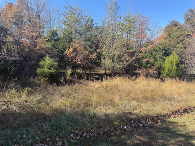 Lot 5 Edgewater Dr, North Shore, VA 24121 - photo 2