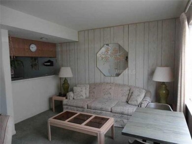 8200 Bayshore Dr unit 10, Treasure Island, FL 33706 - photo 6