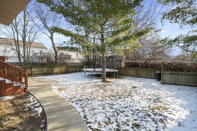 40-web-or-mls-DSC09638